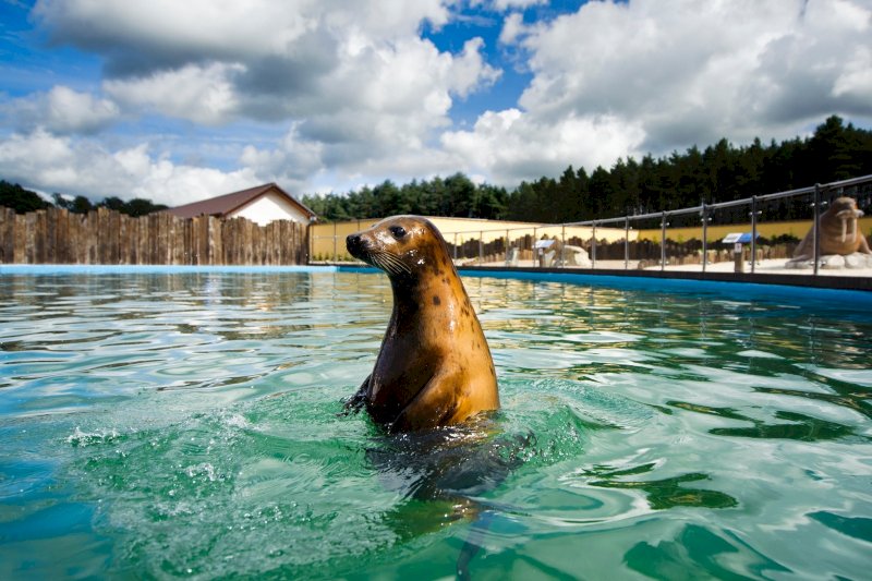Kaszuby - Łeba - Sea Park