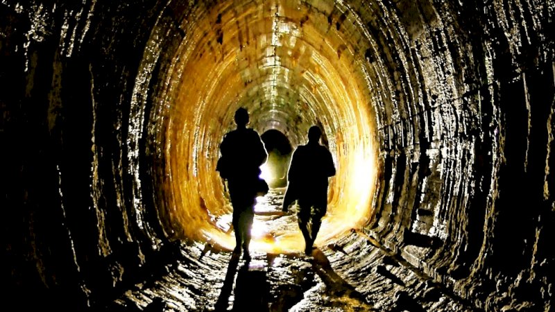 Puszcza Notecka - wycieczka integracyjna - 3 dni