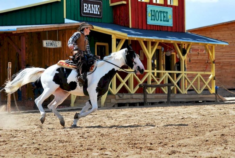 Western City Silverado