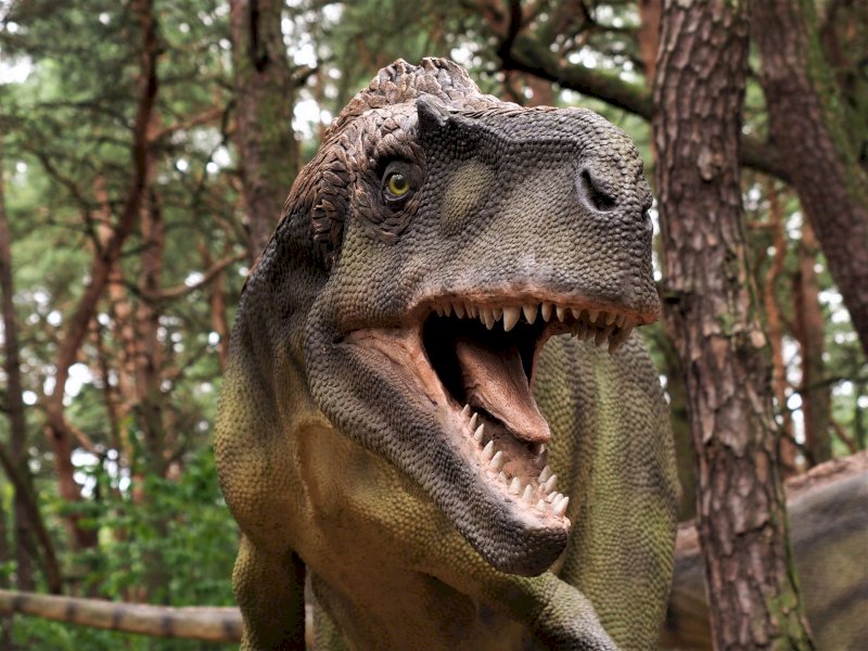 Park Dinozaurów w Solcu Kujawskim